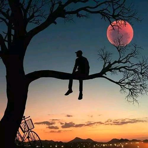 半夜①点的猫
