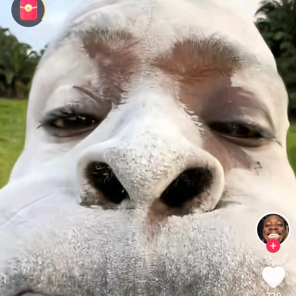 心静自然天地宽