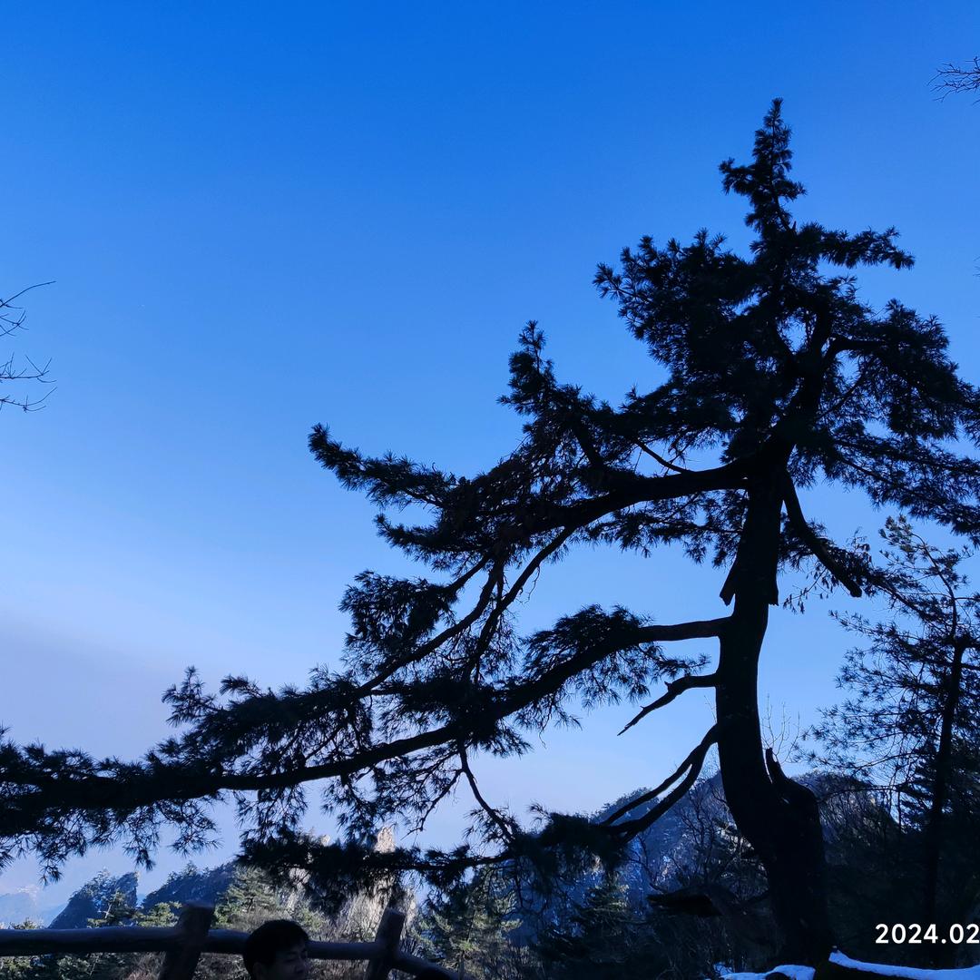 鲁山弘武象棋学院