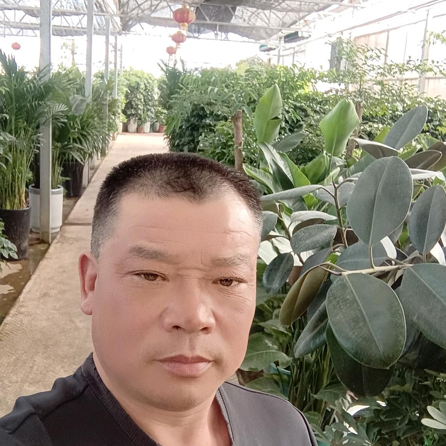 老魏