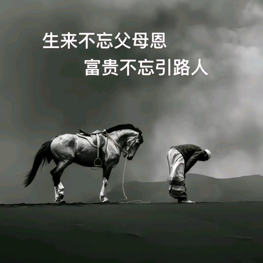 张秀磊19909671836