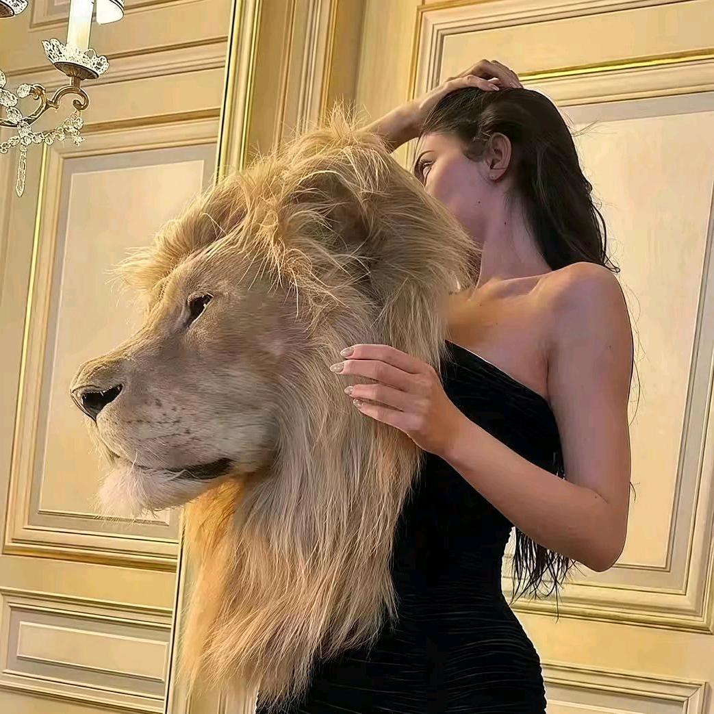 夜猫