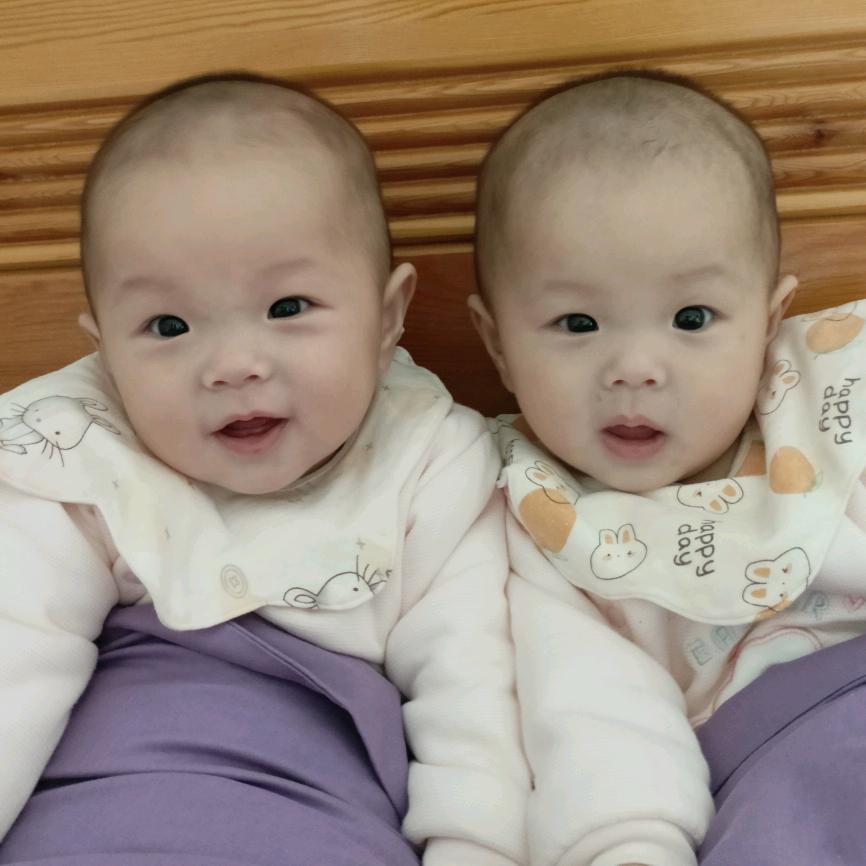 两只小小张