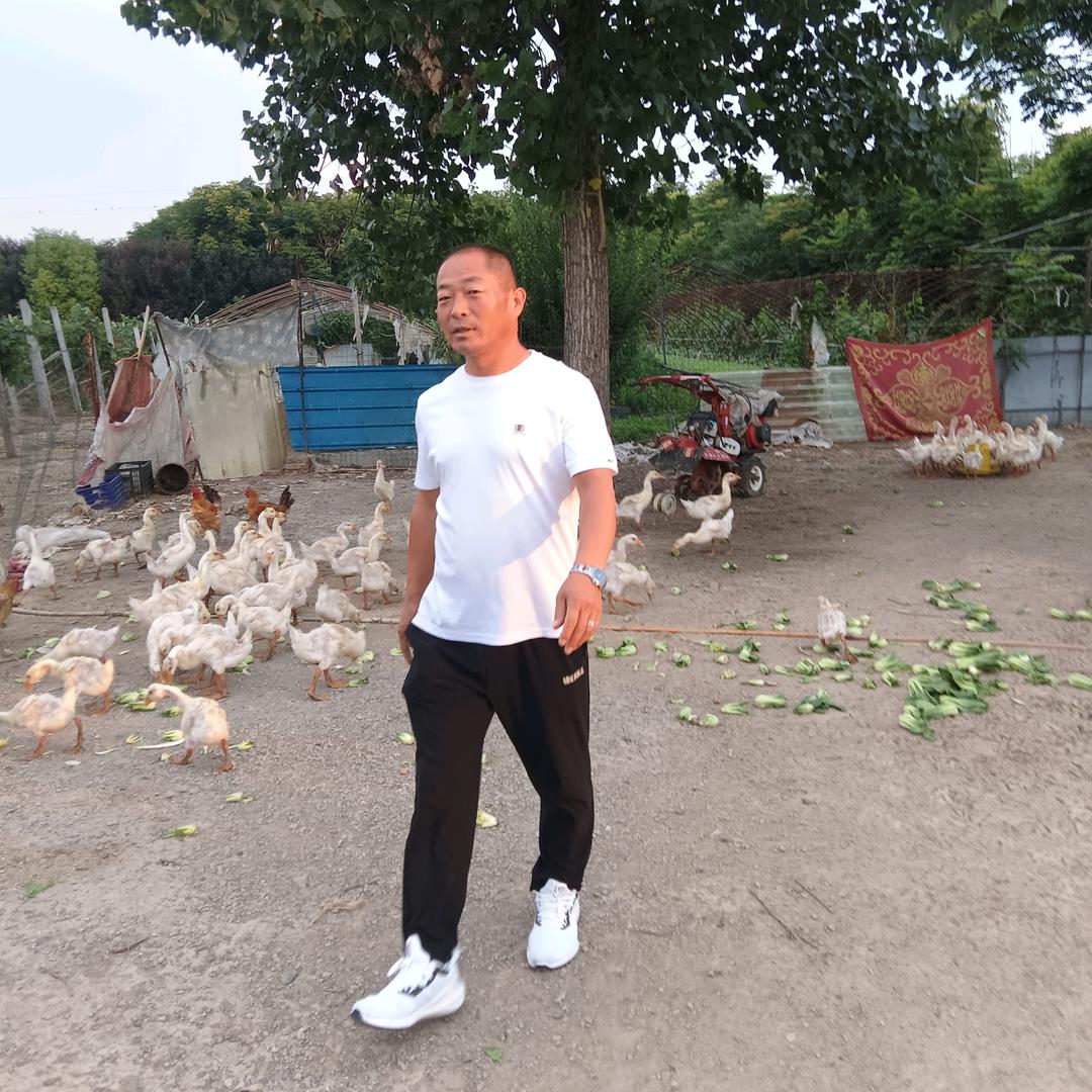 阜阳颖州三塔喜庆缘大酒店