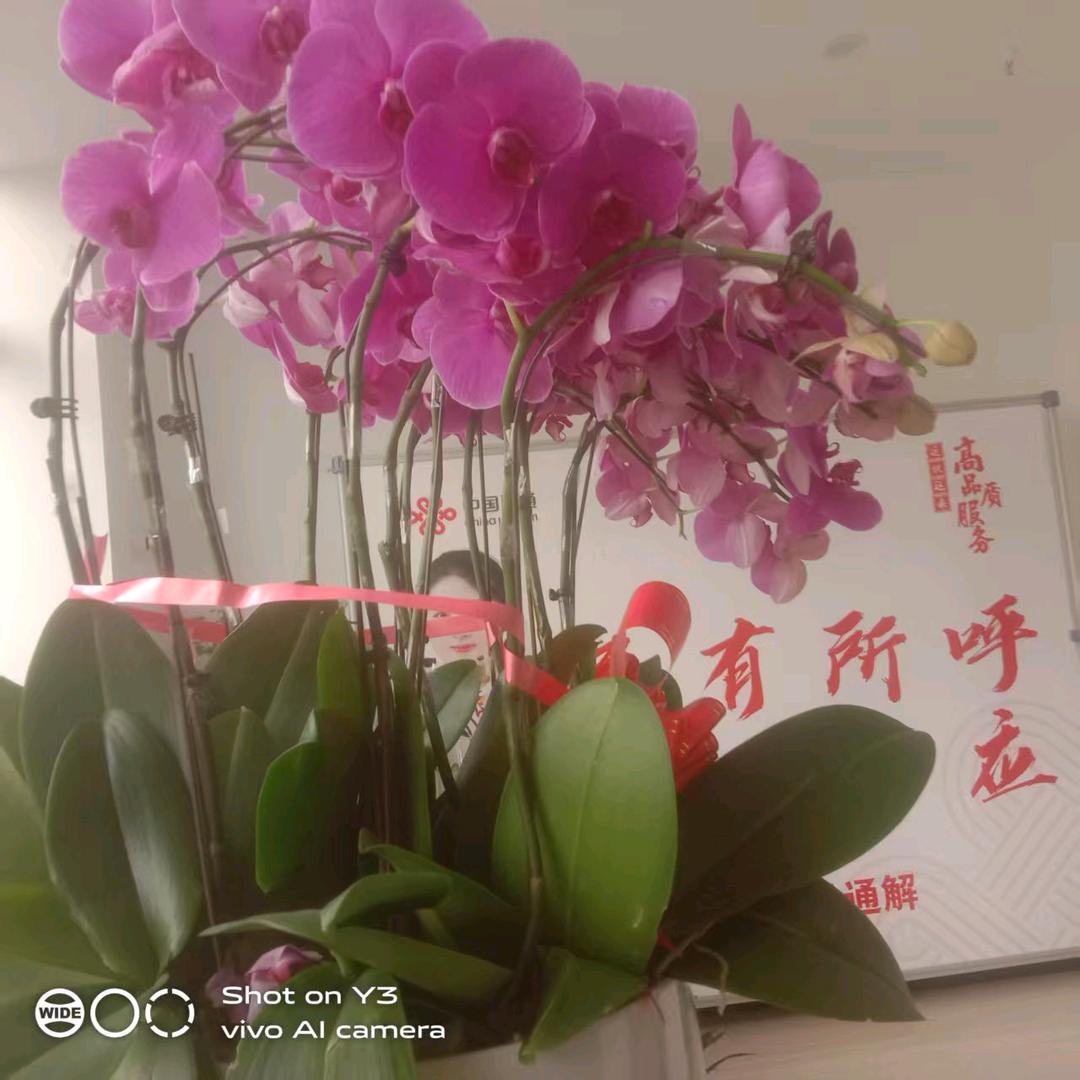 嘻哈刘六妹