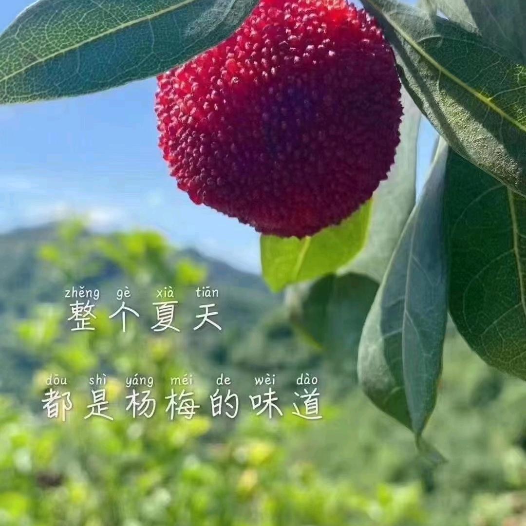 梅品坊