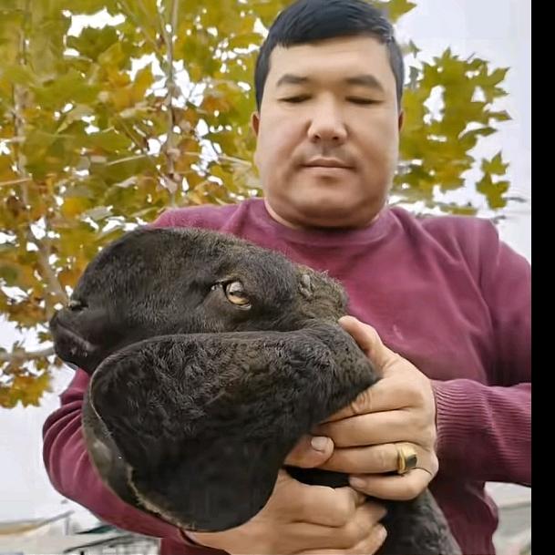 买买提明江