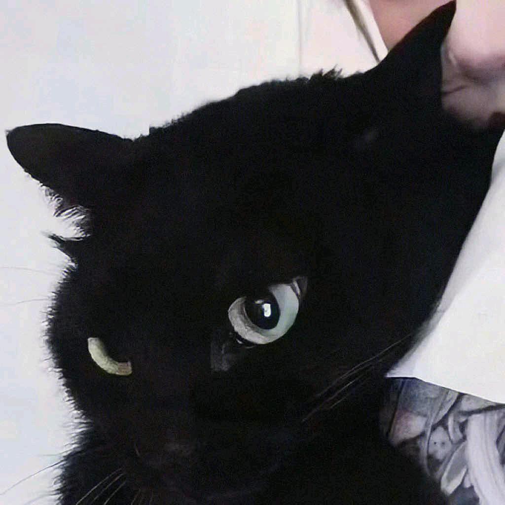 Echo📷
