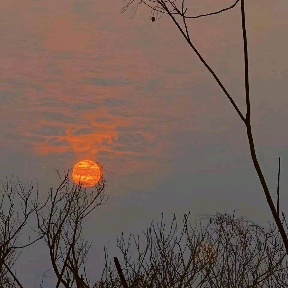 忠二哥