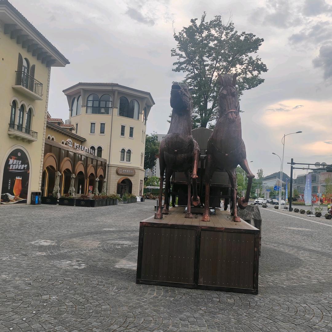58554656465