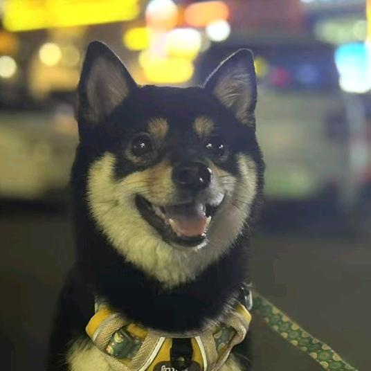奔跑的大壮