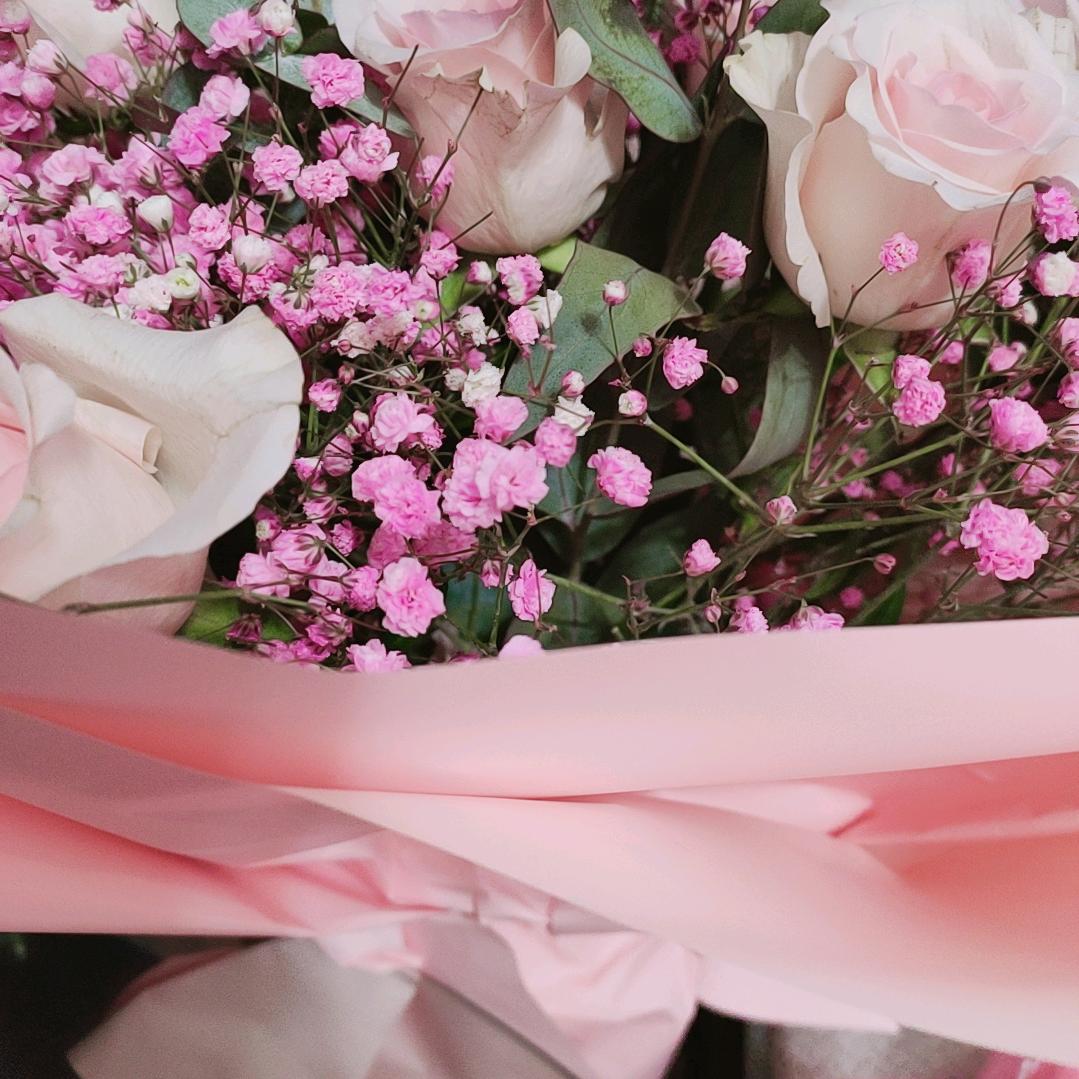 🌸人生若只如初见🌸