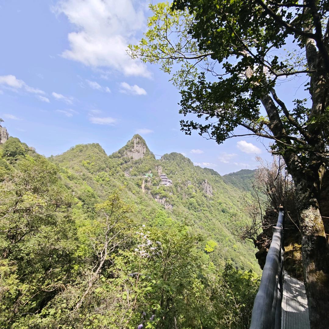 满山的猴子我腚最红！
