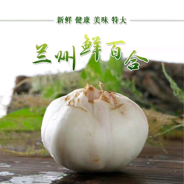 鹏宸优选特产店