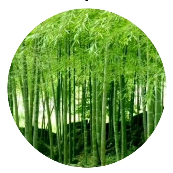 港城龙哥