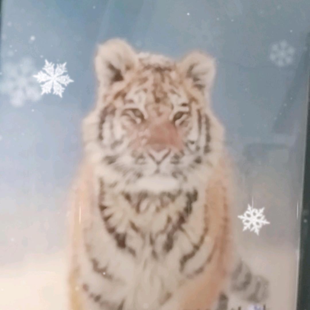 如何⊙∀⊙！