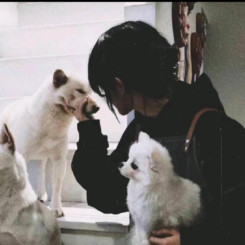 骨瓷