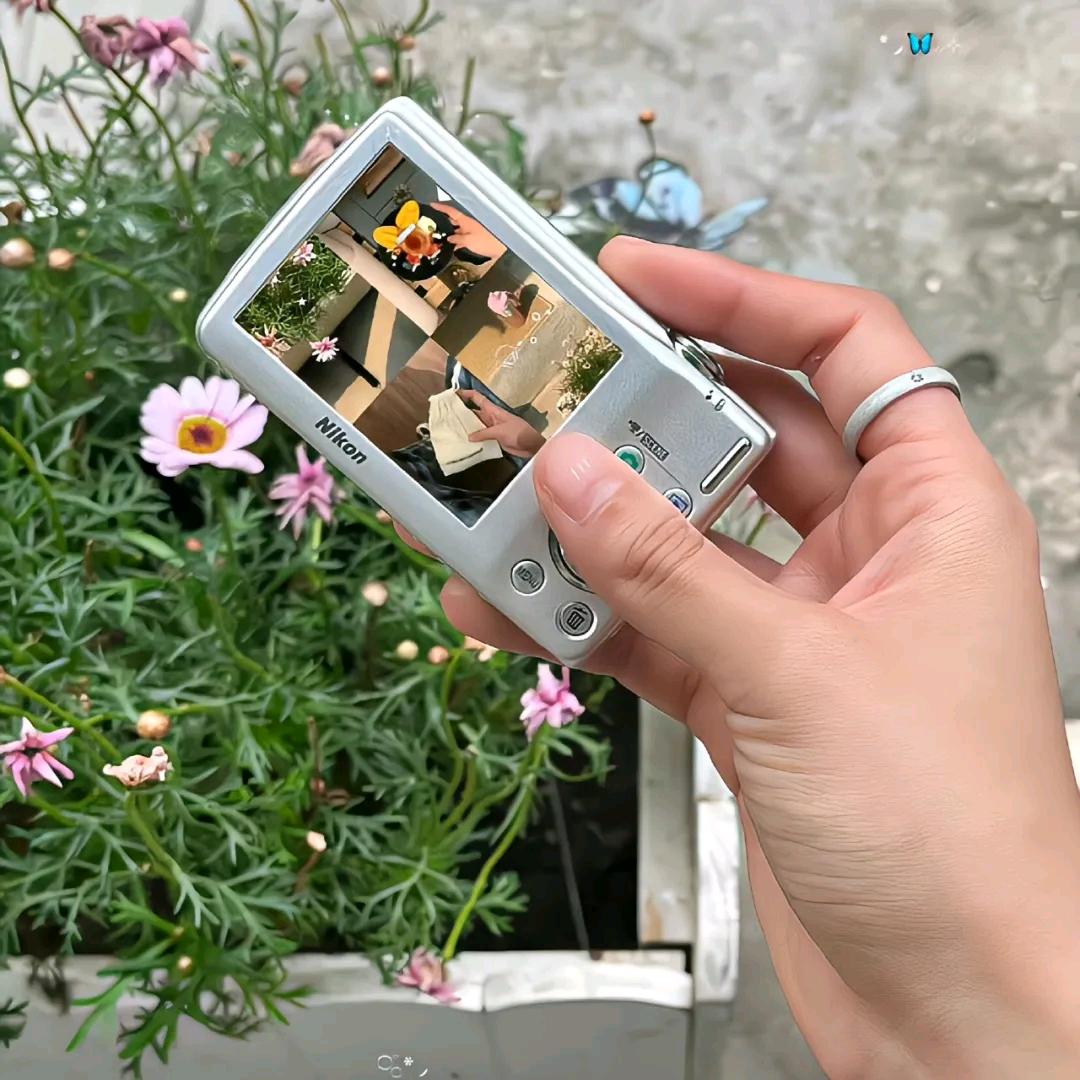 荔枝味的荔枝
