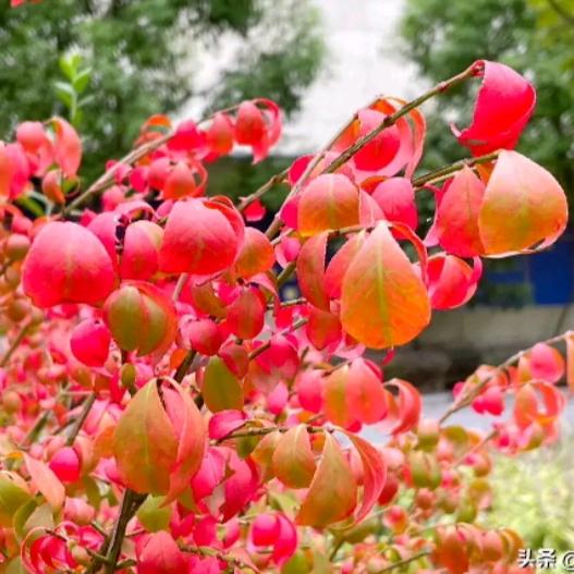 怎么开心怎么来