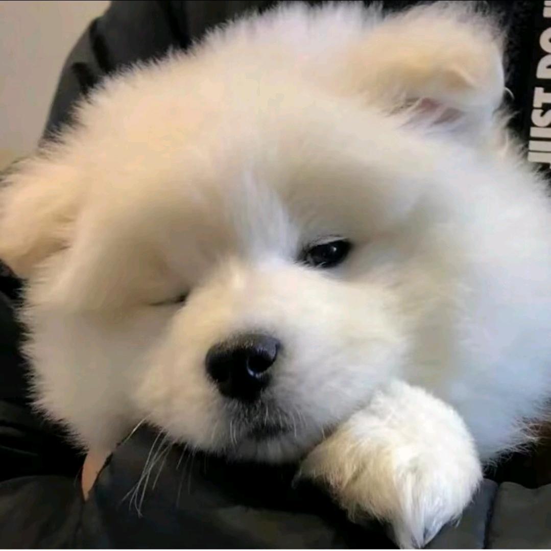 超雄小子