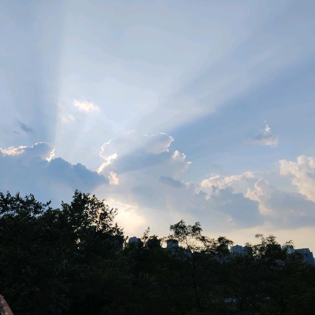 貔貅想要大金币