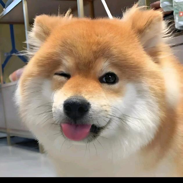 夜翎涵