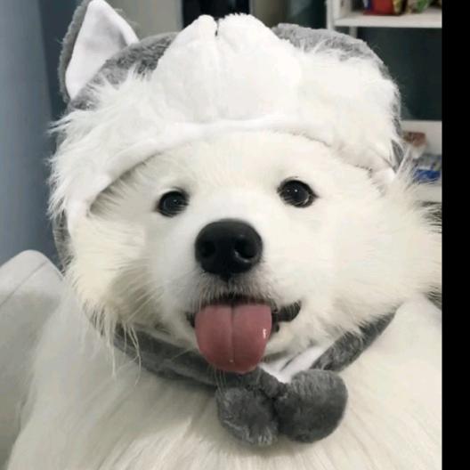 爱意