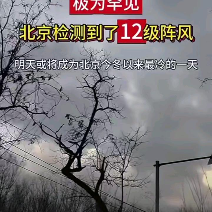 阳光普照大地
