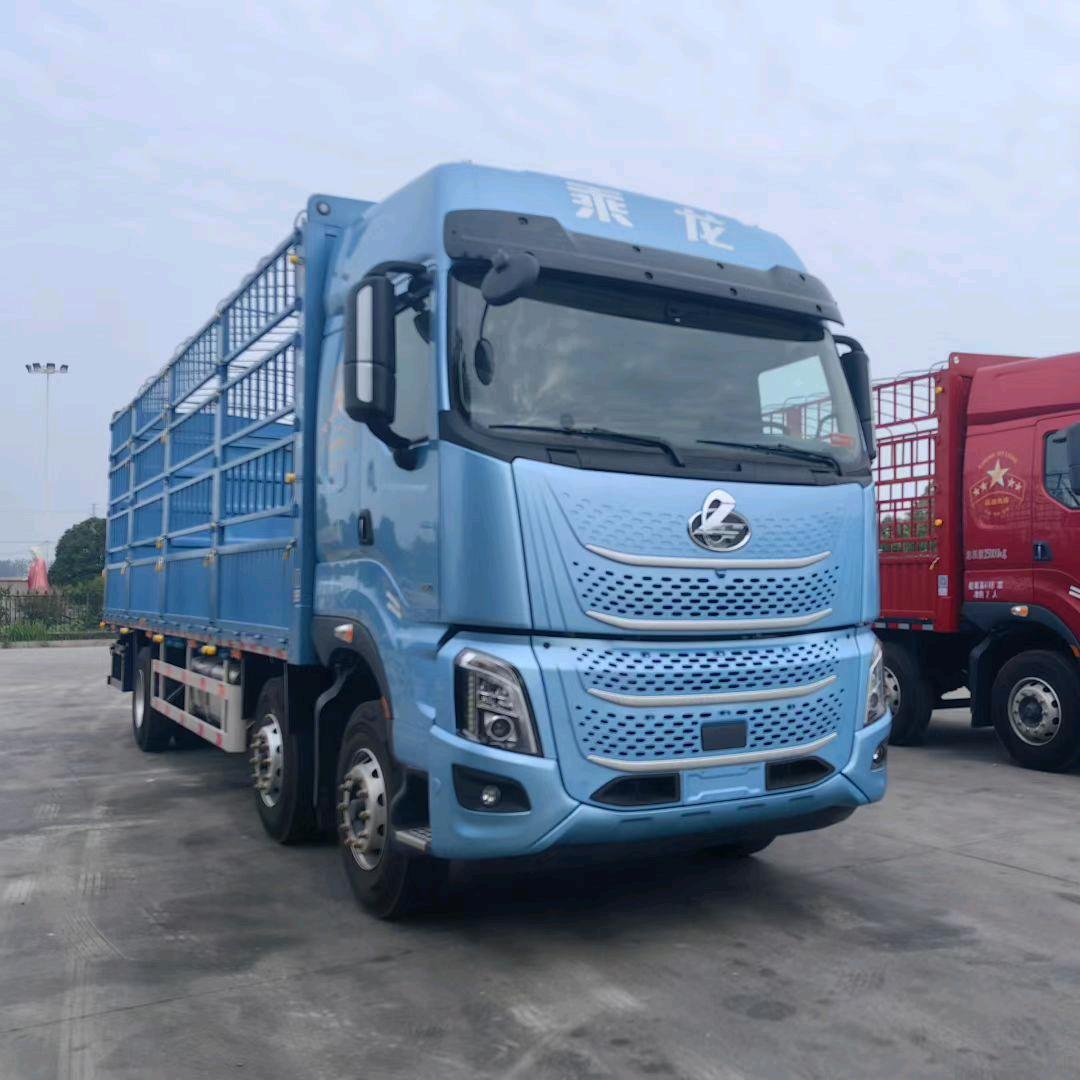 乘龙卡车～徐兵
