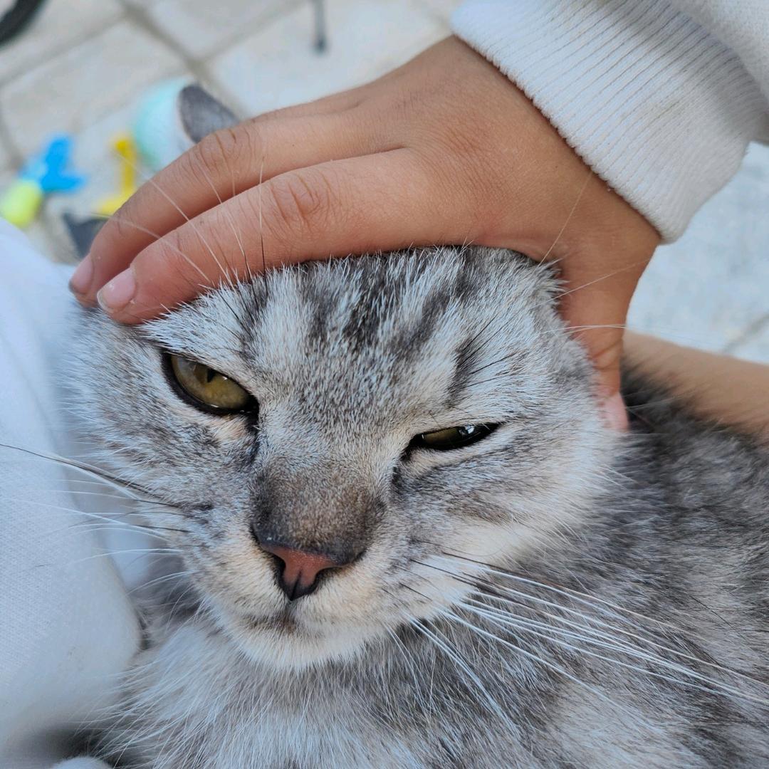 年轻又瘦又有钱