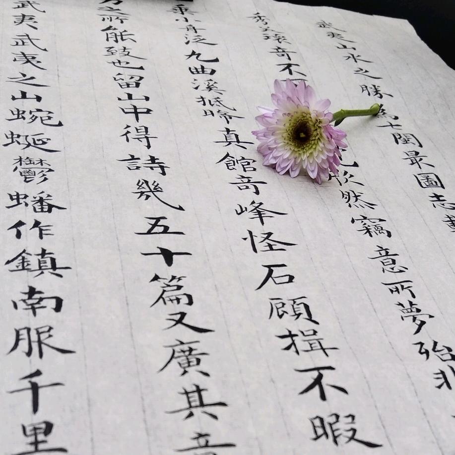 屿墨