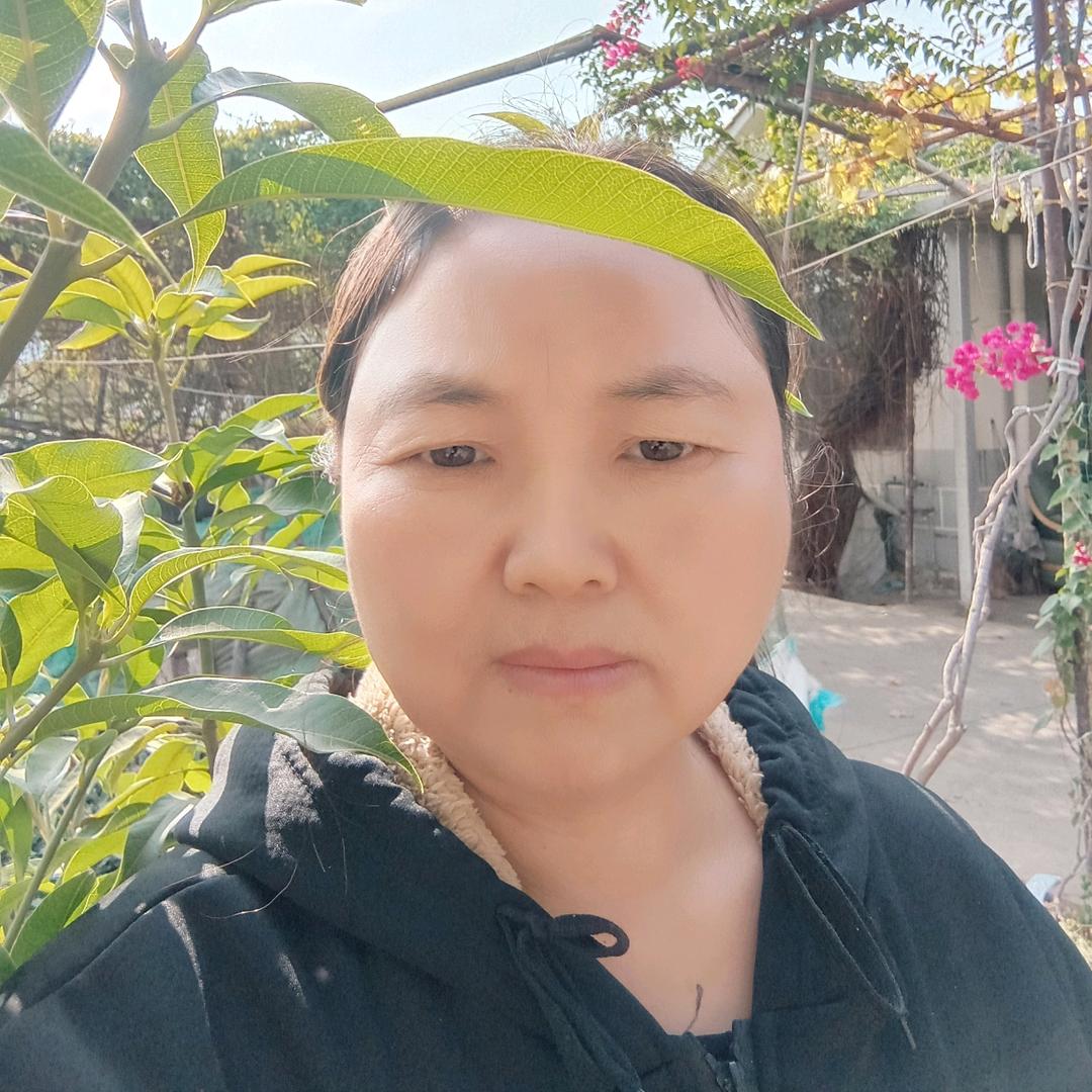 金芬姐严选好货