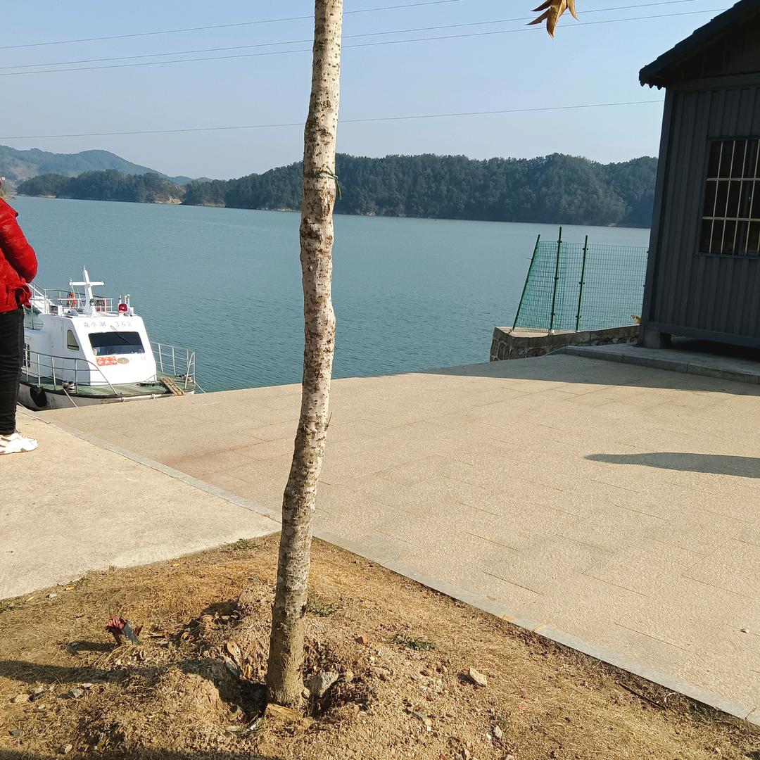 我要向前进