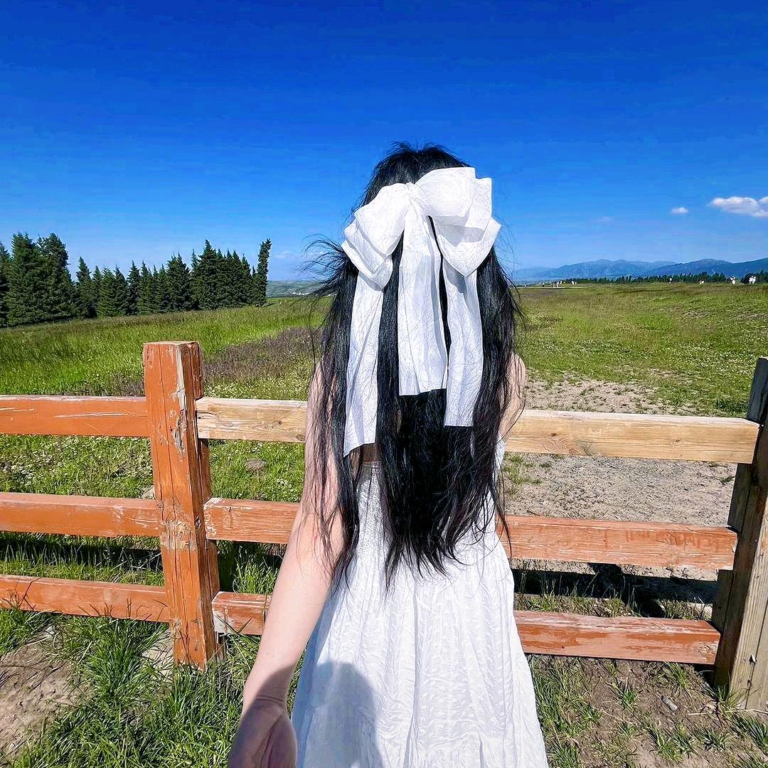 圆子.