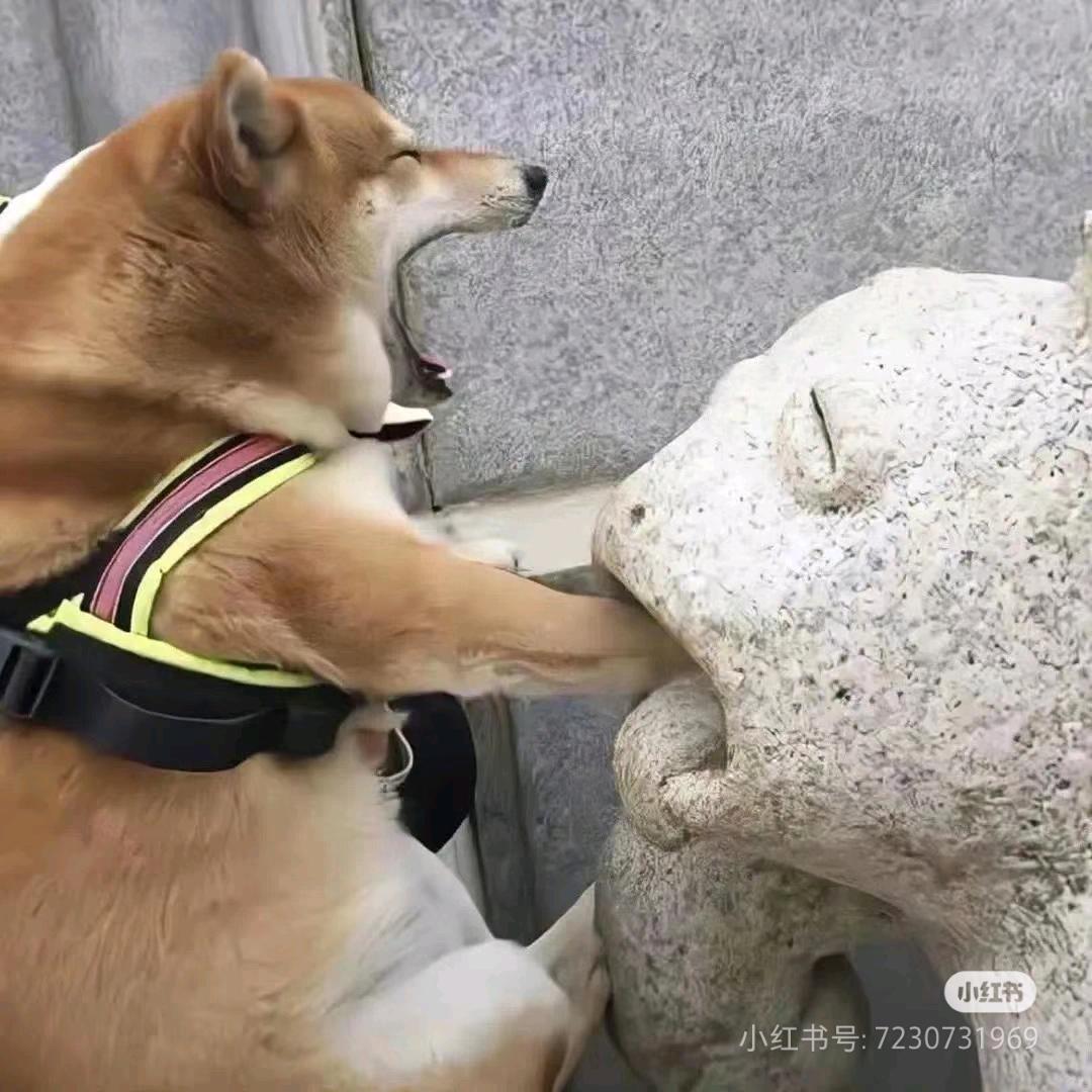 狂炫香菜