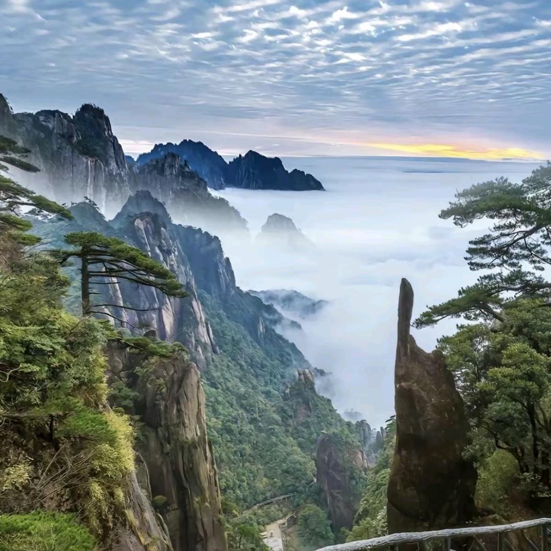 陌离