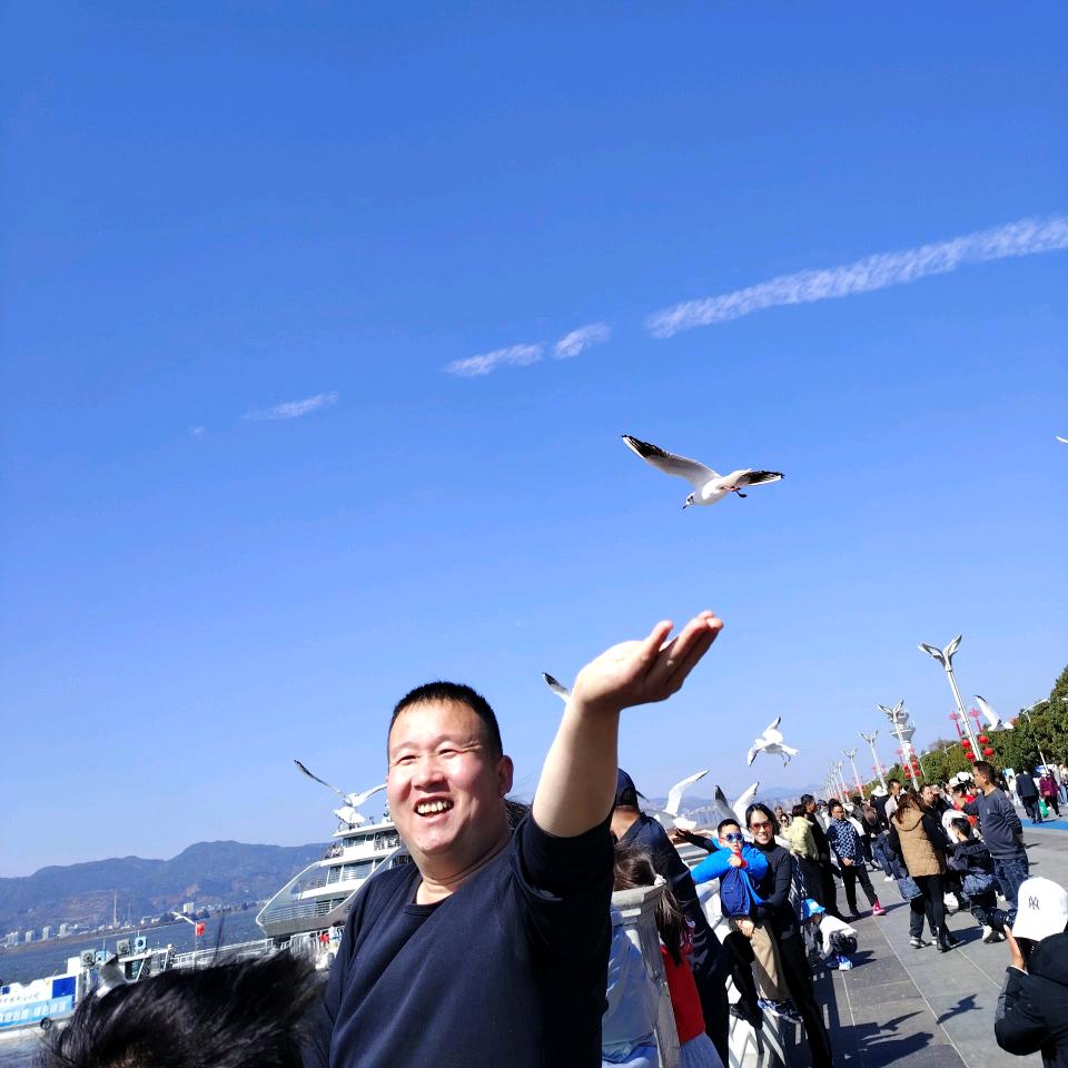 追逐梦想。