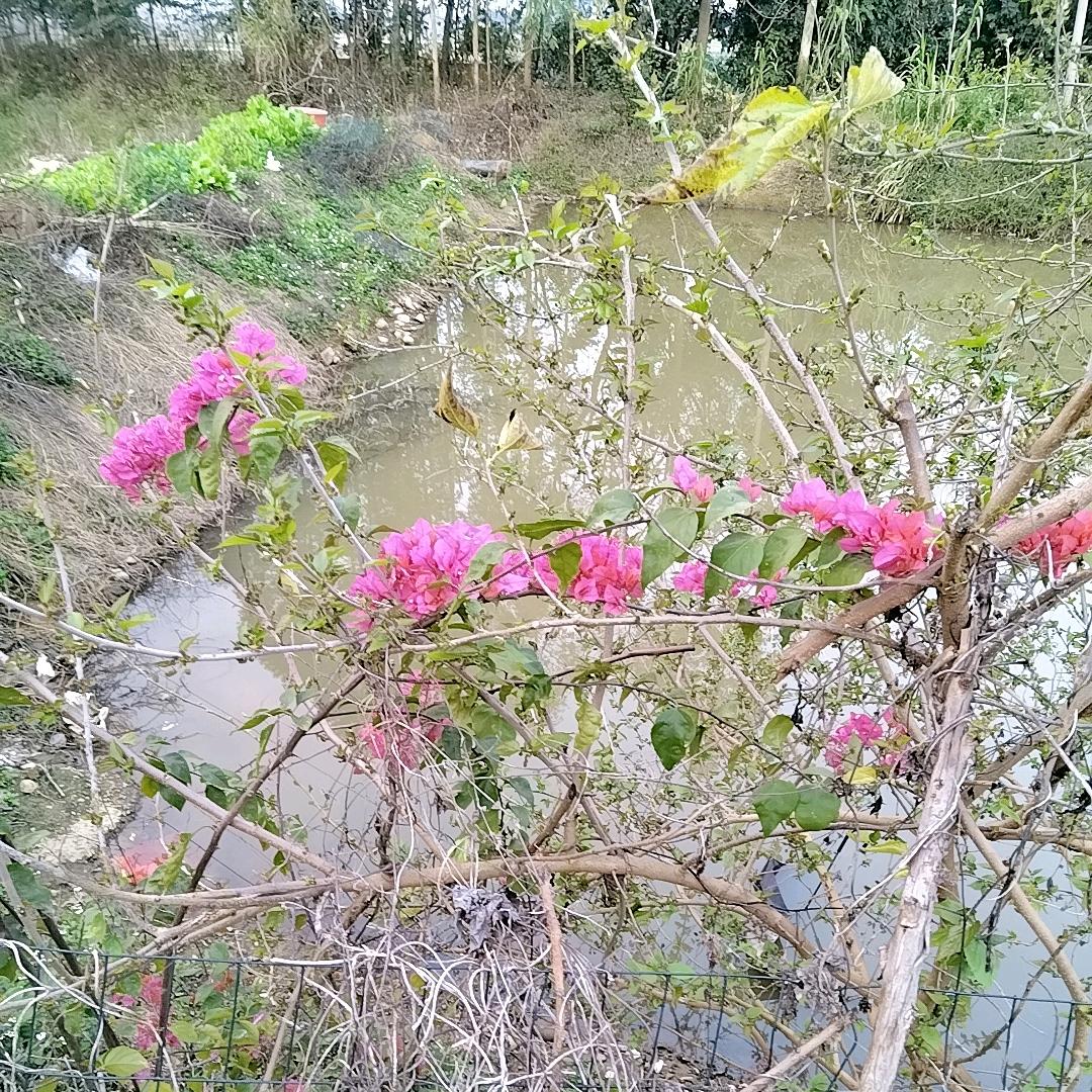 ꫛ᭄姐是限💞量版ꦿ້໌ᮨ࿐