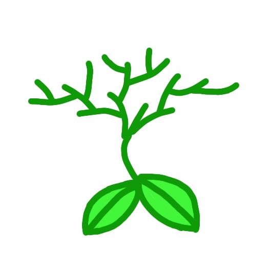 仙人掌花