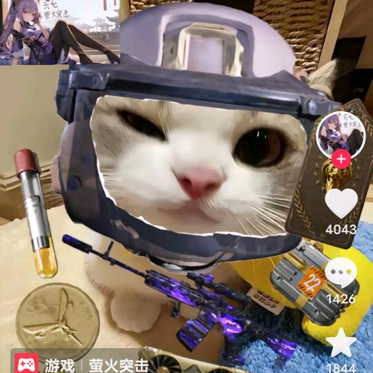 刘氓(萤火突击)