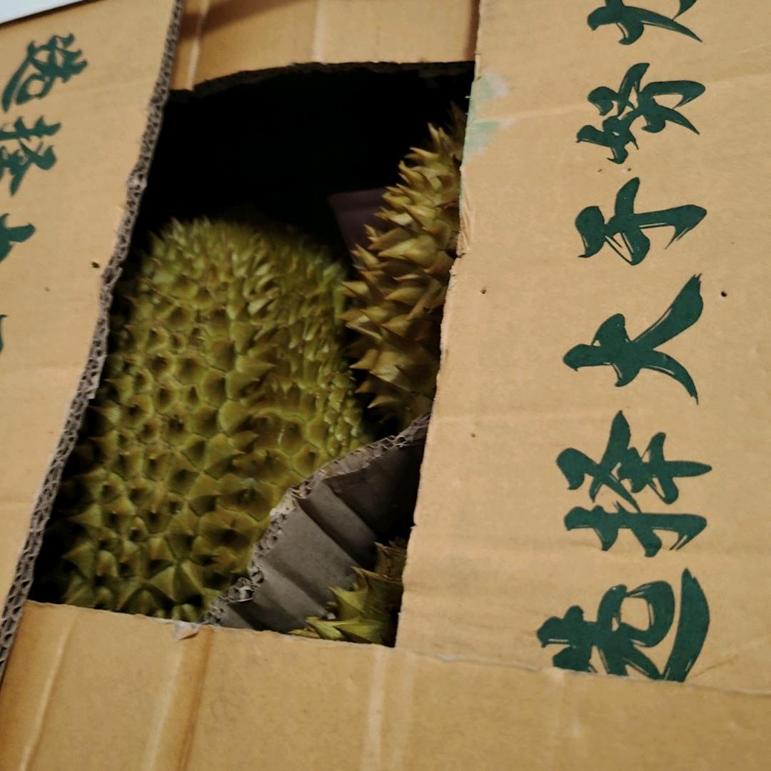 这么明显摩西摩西