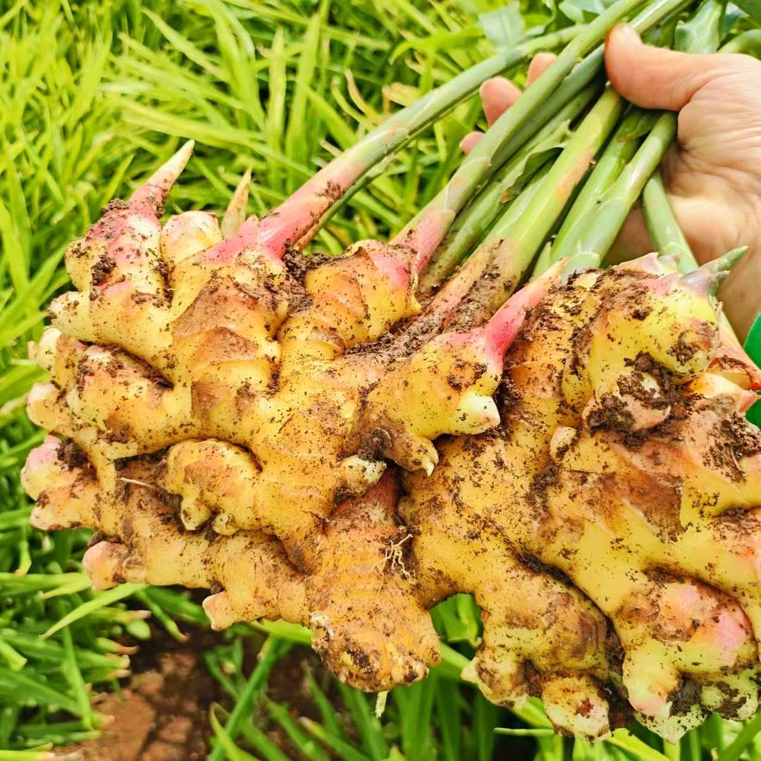 罗平县金玉农副产品销售店