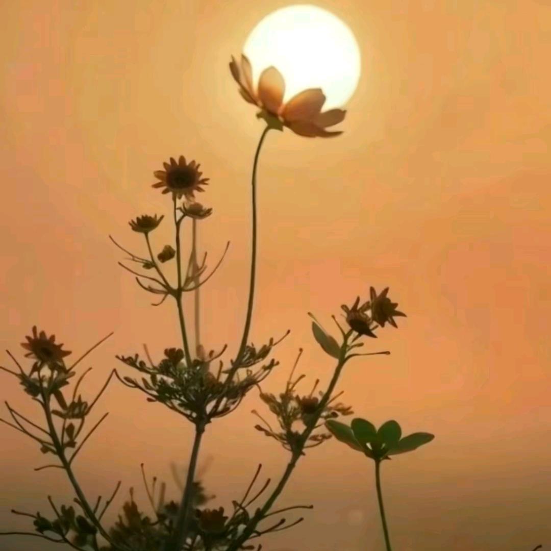 淇石一❤️一毅