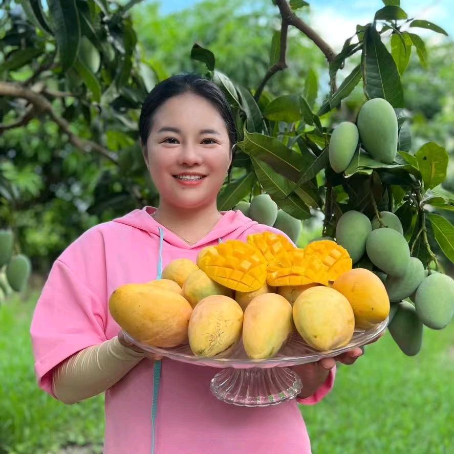 小乐乐精选好物分享
