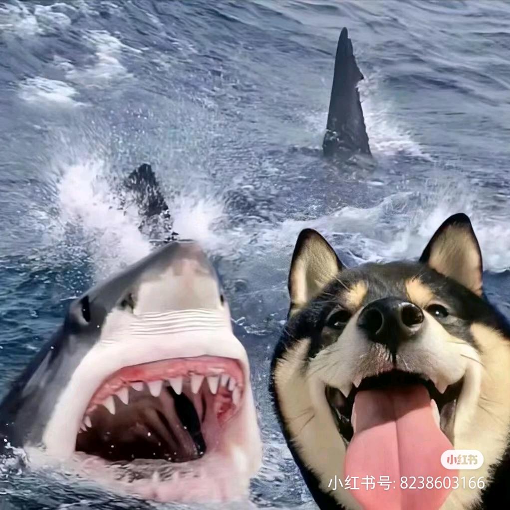 终将万丈光芒☀