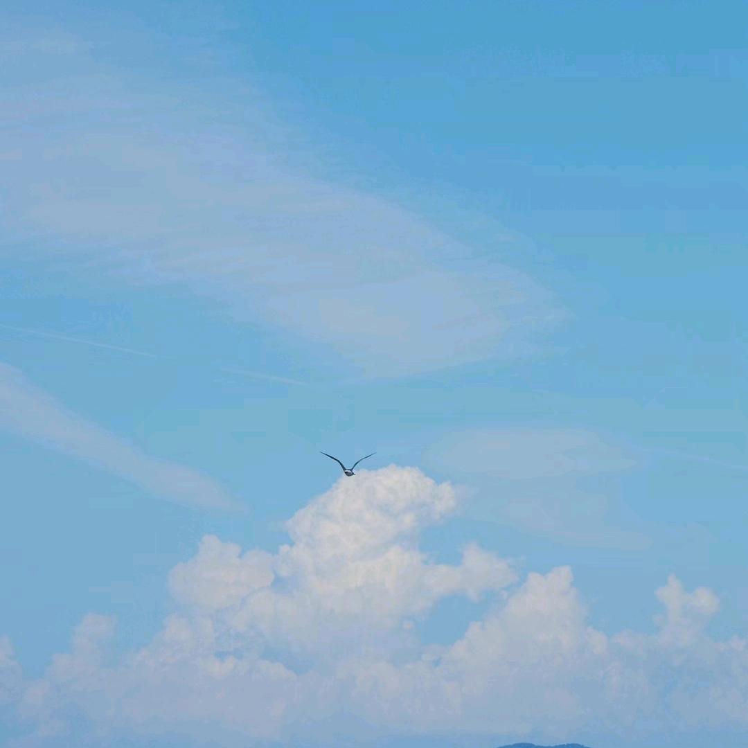 海辺のカフカ