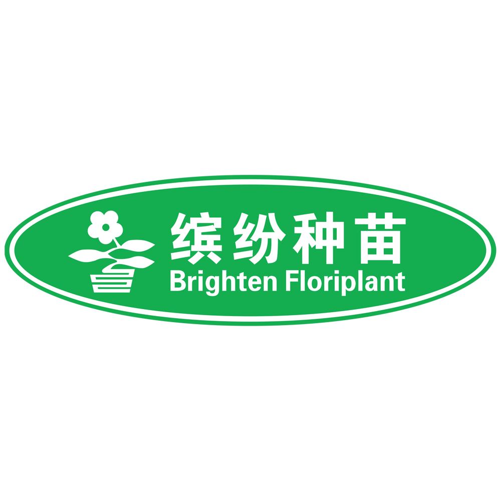 缤纷种苗