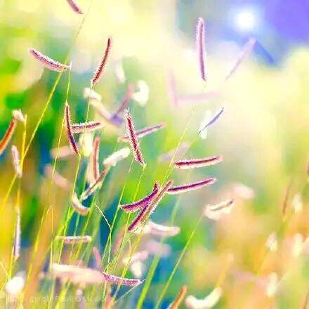 独来🍒独往🐶