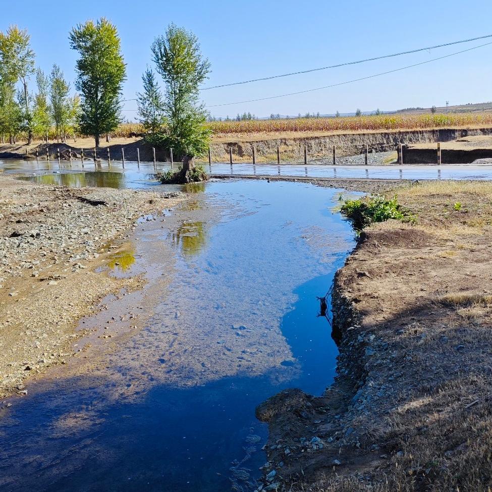 东北飞哥（王者不定时直播）