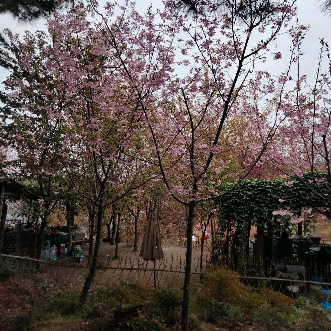 ঠᩚ᭄余生💕爱自己᭨ᮩ໊࿐